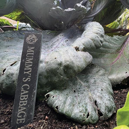 Personalised Slate Plant Marker, Custom Garden Label for Herbs, Flowers or Grandma’s Garden, Outdoor Garden Gift, Slate Plant Stake Plaque - Black Oak Farm