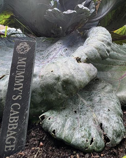 Personalised Slate Plant Marker, Custom Garden Label for Herbs, Flowers or Grandma’s Garden, Outdoor Garden Gift, Slate Plant Stake Plaque - Black Oak Farm