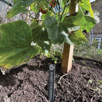 Personalised Slate Plant Marker, Custom Garden Label for Herbs, Flowers or Grandma’s Garden, Outdoor Garden Gift, Slate Plant Stake Plaque - Black Oak Farm