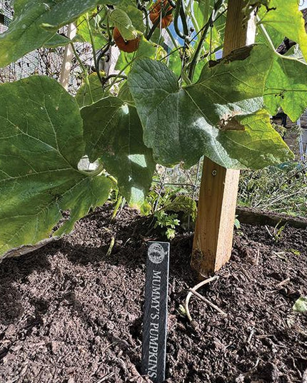 Personalised Slate Plant Marker, Custom Garden Label for Herbs, Flowers or Grandma’s Garden, Outdoor Garden Gift, Slate Plant Stake Plaque - Black Oak Farm