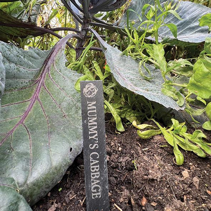 Personalised Slate Plant Marker, Custom Garden Label for Herbs, Flowers or Grandma’s Garden, Outdoor Garden Gift, Slate Plant Stake Plaque - Black Oak Farm