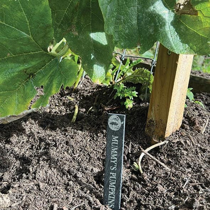 Personalised Slate Plant Marker, Custom Garden Label for Herbs, Flowers or Grandma’s Garden, Outdoor Garden Gift, Slate Plant Stake Plaque - Black Oak Farm