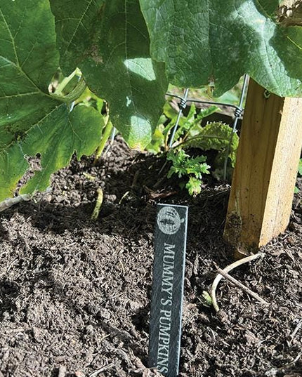 Personalised Slate Plant Marker, Custom Garden Label for Herbs, Flowers or Grandma’s Garden, Outdoor Garden Gift, Slate Plant Stake Plaque - Black Oak Farm