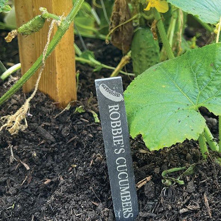 Personalised Slate Plant Marker, Custom Garden Label for Herbs, Flowers or Grandma’s Garden, Outdoor Garden Gift, Slate Plant Stake Plaque - Black Oak Farm